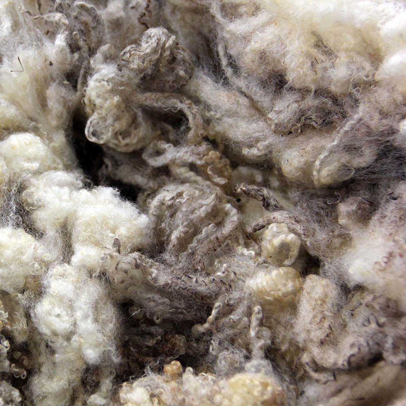 NORDTEX lana di pecora - immagine 5