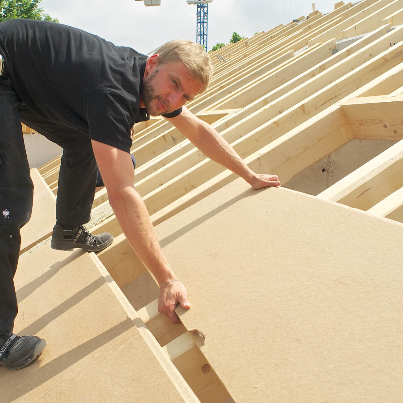 STEICO UNIVERSAL - immagine 2